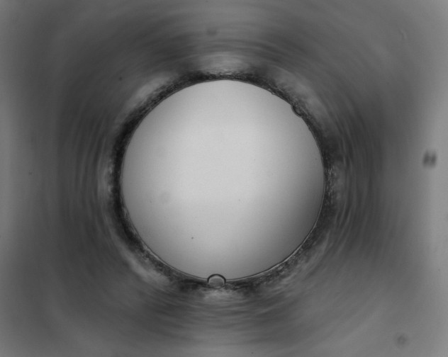 X0000101700400200807241438