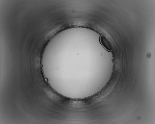 X0000101700401200807241437