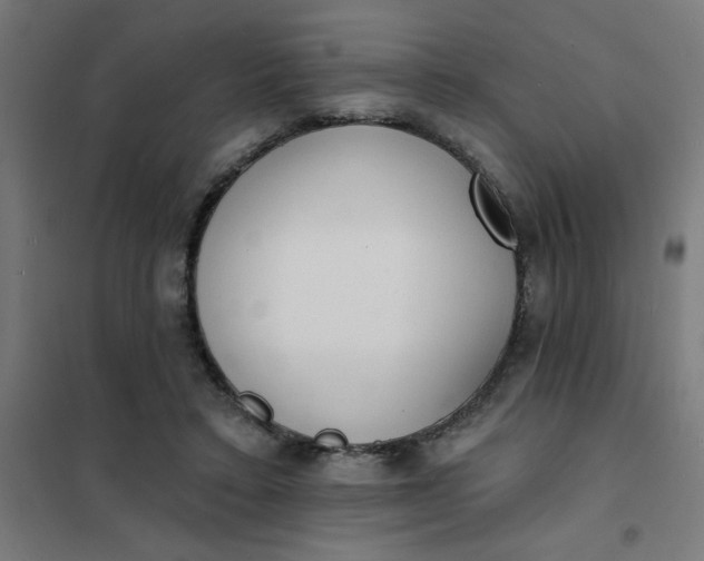 X0000101700403200807241437