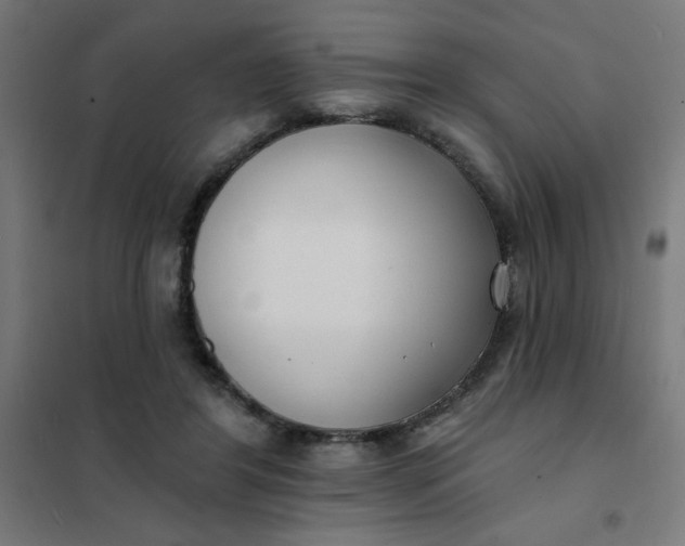 X0000101700404200807241437