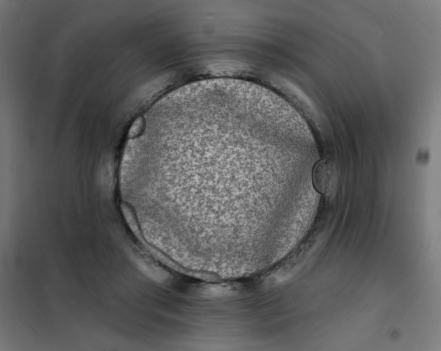 X0000101700405200807241437