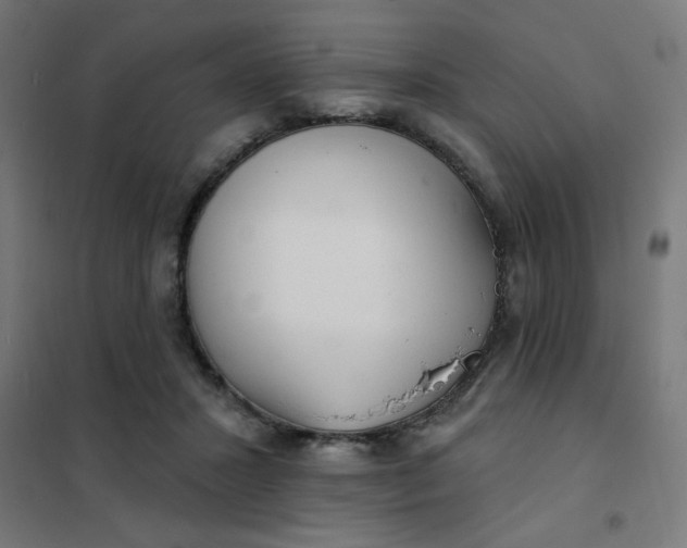 X0000101700407200807241437