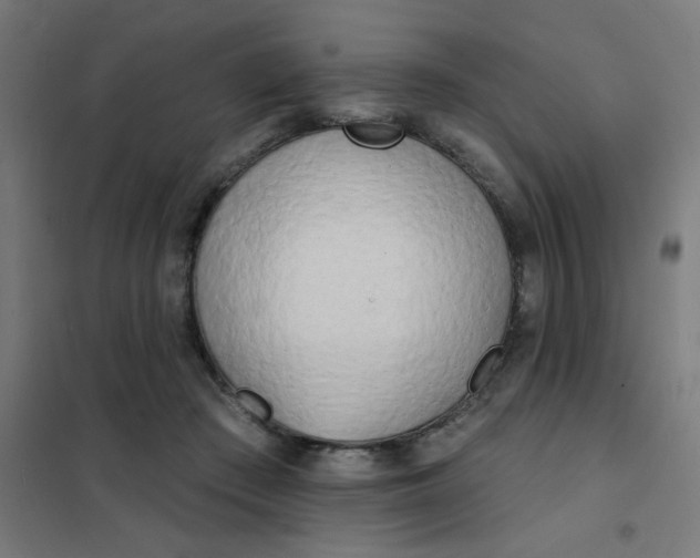 X0000101700409200807241437