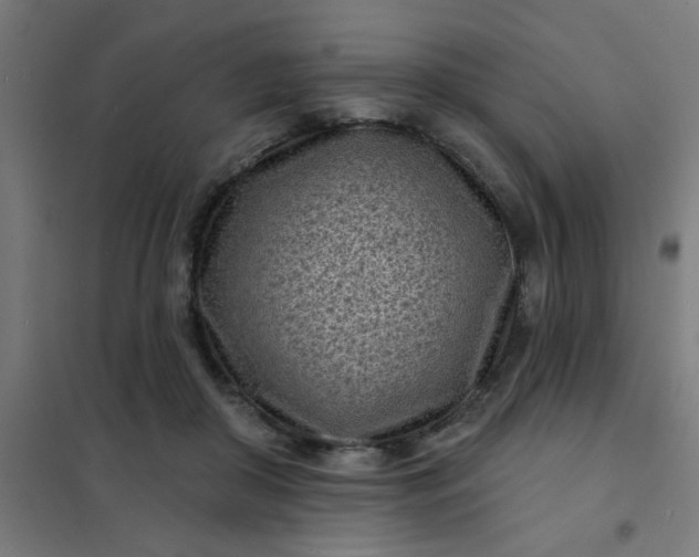 X0000101700410200807241437