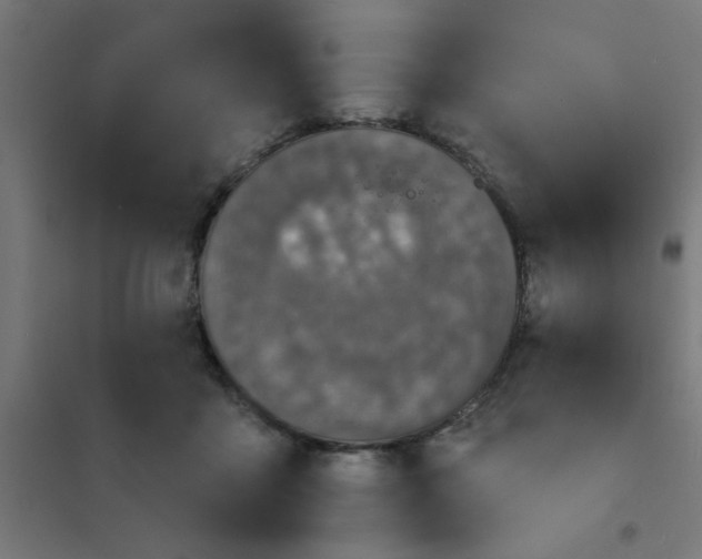 X0000101700411200807241437