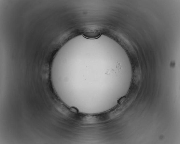 X0000101700413200807241437