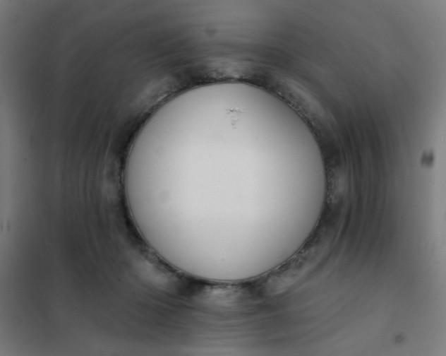 X0000101700414200807241437