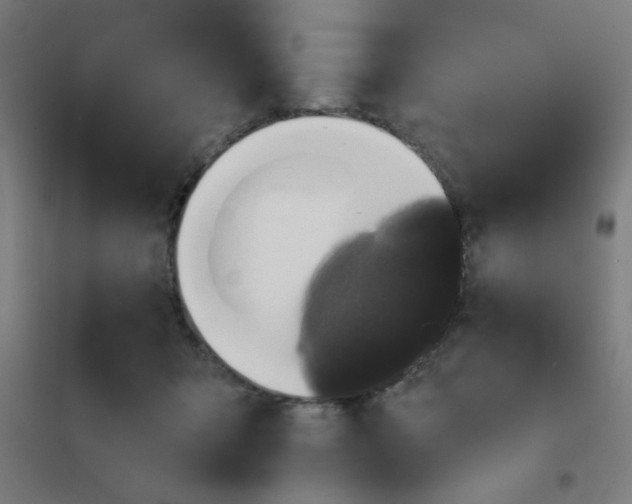 X0000101700415200807241437