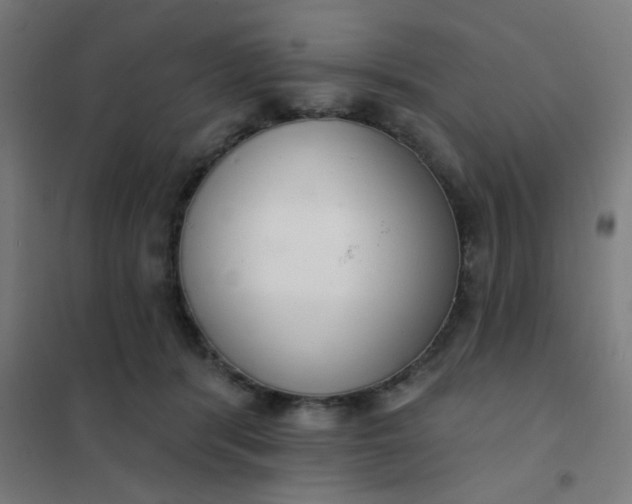 X0000101700416200807241437