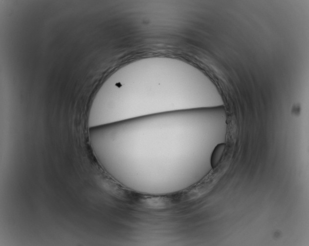 X0000101700417200807241437