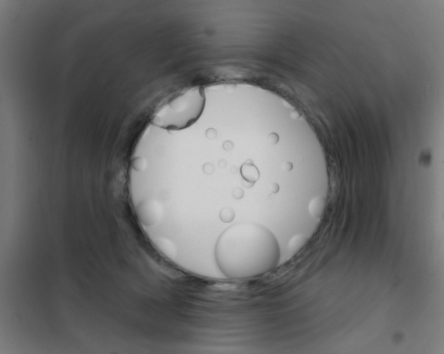 X0000101700418200807241437