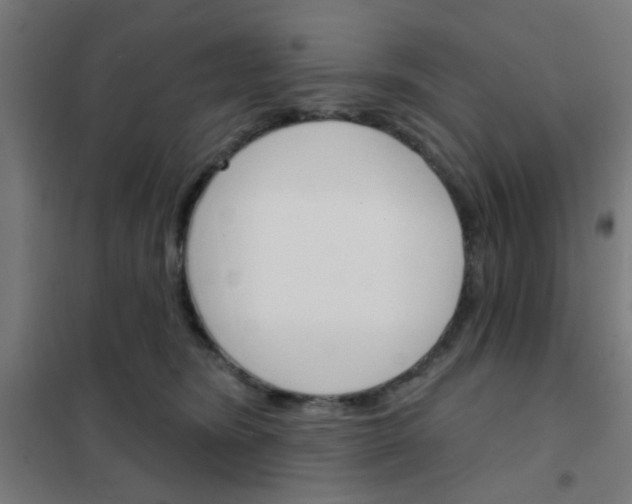 X0000101700420200807241437