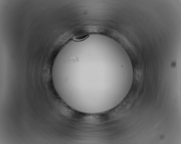 X0000101700422200807241437