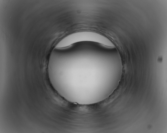 X0000101700423200807241437