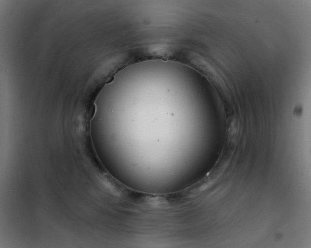 X0000101700424200807241437