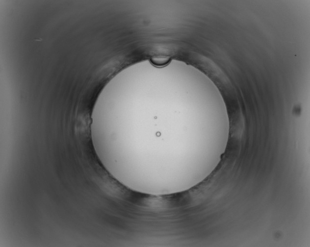 X0000101700425200807241437