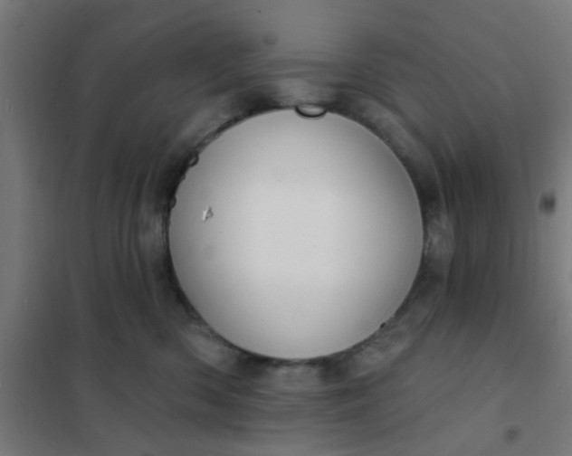 X0000101700426200807241437