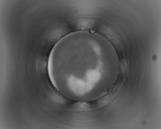 X0000101700427200807241437