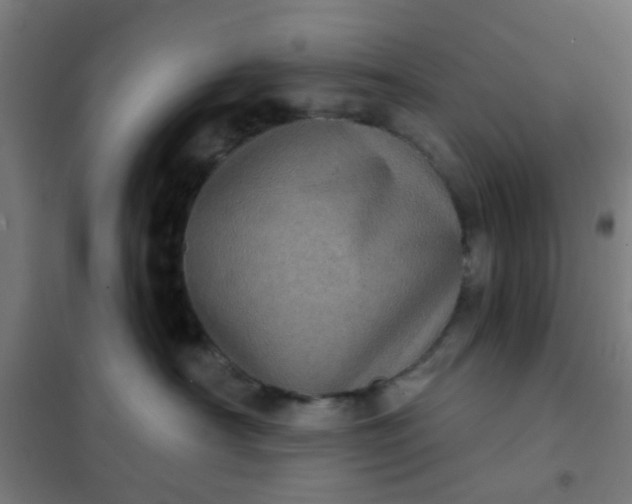 X0000101700430200807241437