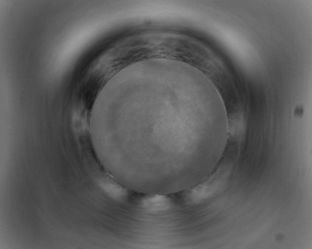 X0000101700431200807241437