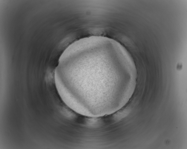 X0000101700432200807241437