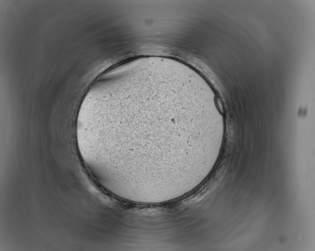 X0000101700433200807241436