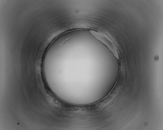 X0000101700434200807241436