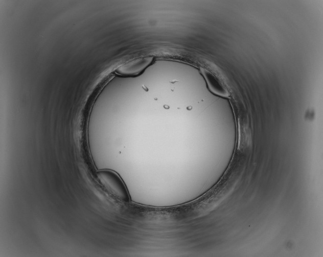 X0000101700435200807241436