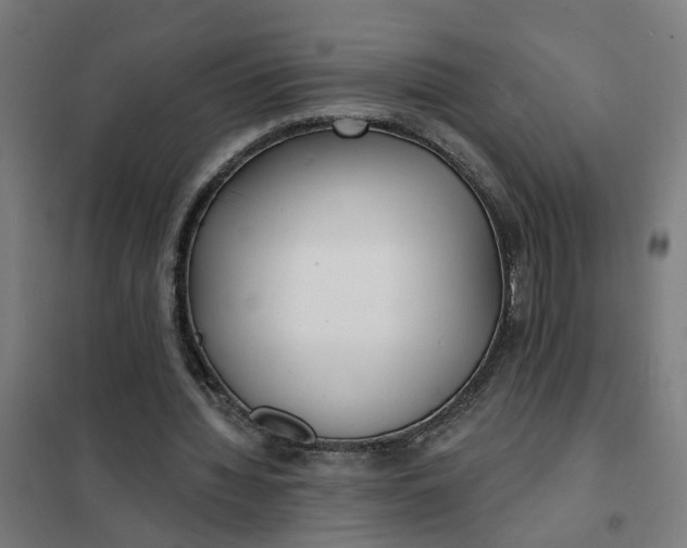 X0000101700436200807241436