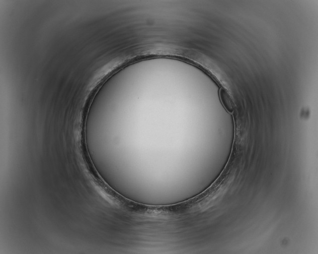 X0000101700437200807241436