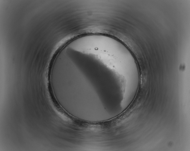 X0000101700438200807241436