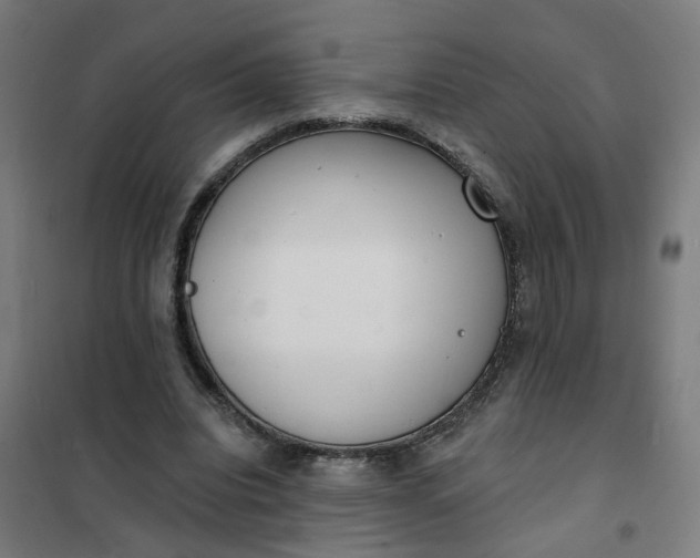 X0000101700440200807241436