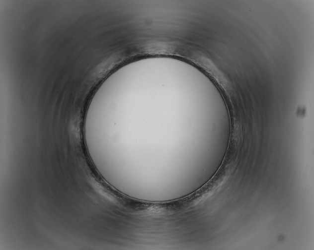 X0000101700441200807241437