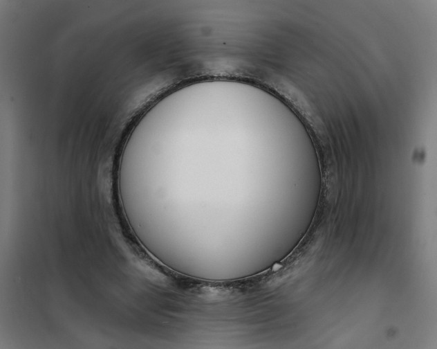 X0000101700442200807241437