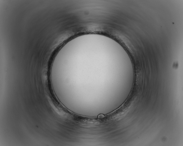 X0000101700443200807241437