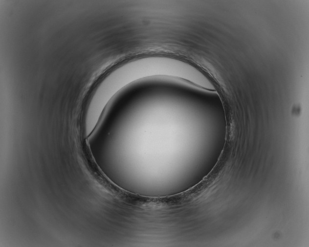 X0000101700444200807241437