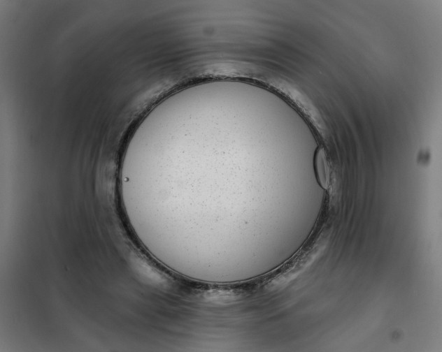 X0000101700445200807241437