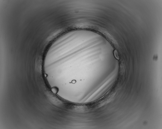 X0000101700446200807241437