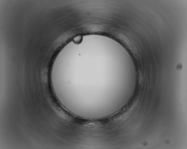 X0000101700447200807241437