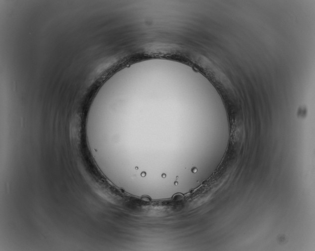 X0000101700448200807241437