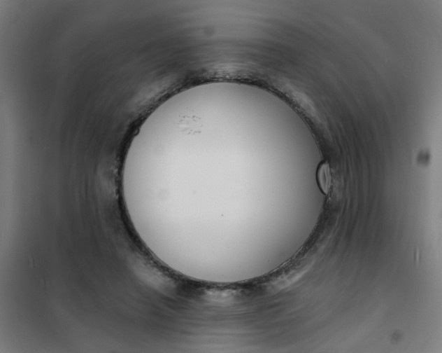 X0000101700450200807241437