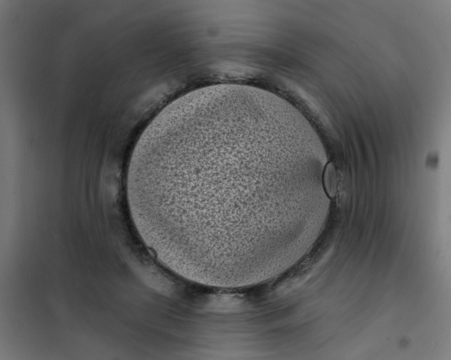 X0000101700451200807241437