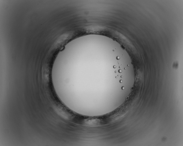 X0000101700452200807241437