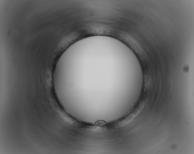 X0000101700453200807241437