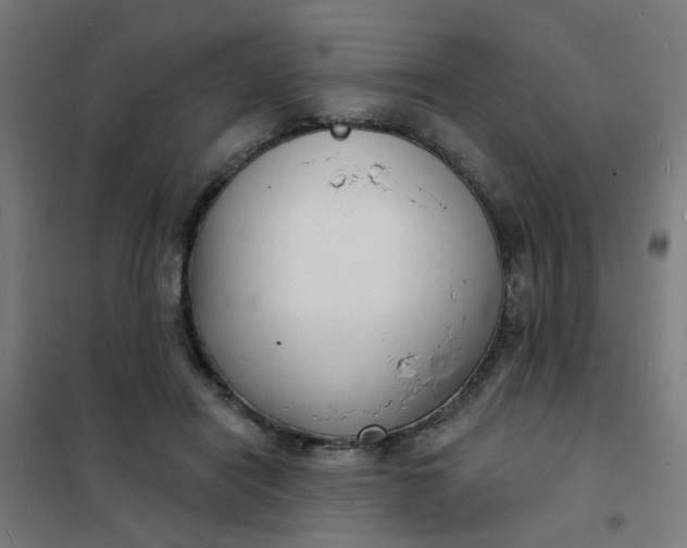 X0000101700454200807241437