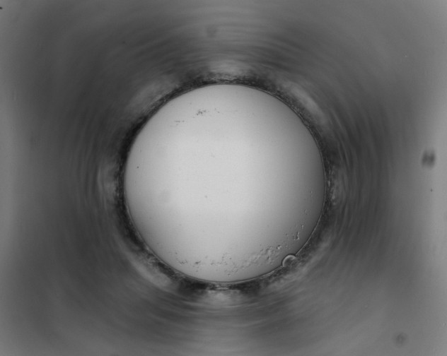 X0000101700455200807241437