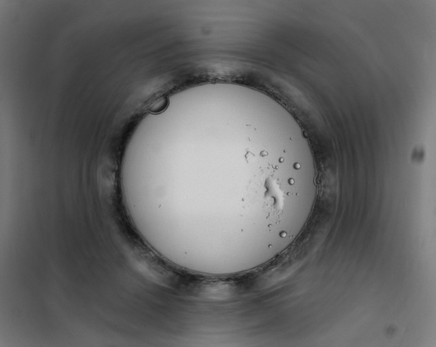 X0000101700456200807241437