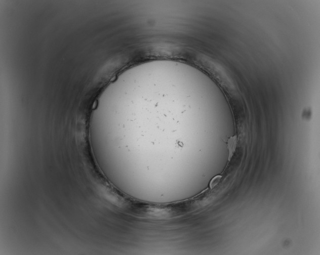 X0000101700457200807241437