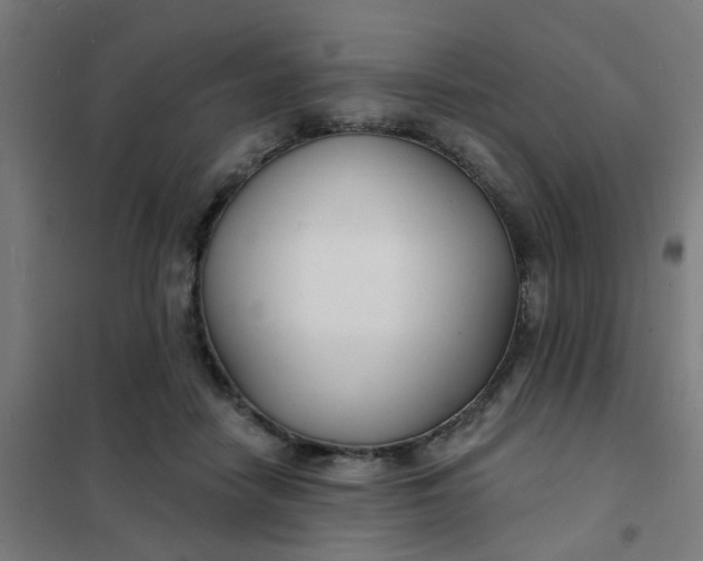 X0000101700458200807241437