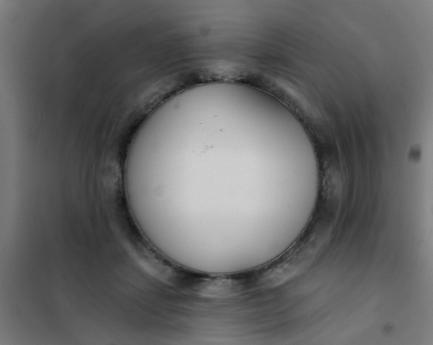 X0000101700459200807241437